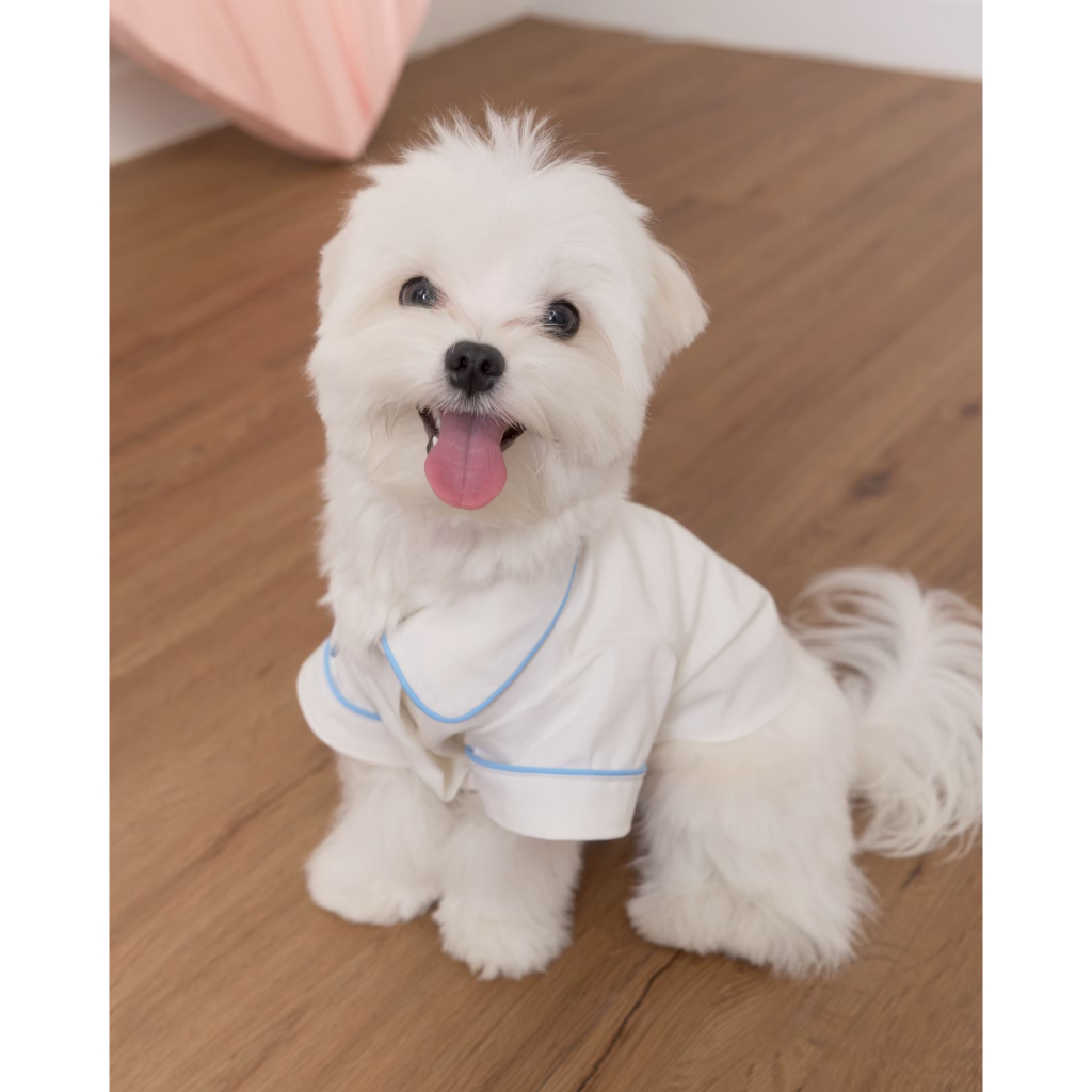 Pet Cotton Shirt เสื้อเชิ้ตสัตว์เลี้ยงผ้าคอตตอน รูปที่ 5