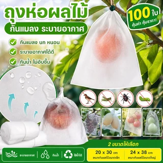 ถุงห่อผลไม้ 100 ใบ มีเชือกมัดในตัว เหมาะห่อมะม่วง ฝรั่ง ป้องกันแมลง เพลี้ยและแสงแดด ไม่จำเป็นต้องห่อกระดาษซ้อนอีกชั้น
