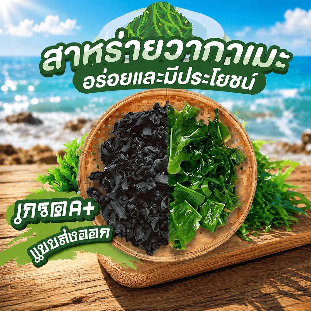 สาหร่าย เกรดA+ สาหร่ายวากาเมะ วากาเมะใหม่ต้นฤดู สาหร่ายโรยข้าว Dried Wakame Seaweed 裙带菜