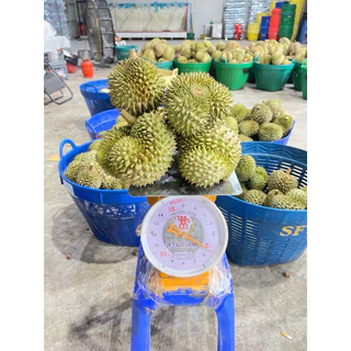 ทุเรียนเบอร์ดอกเล็กจิ๋วขนาด 5-8 ลูก เซ็ตน้ำหนัก 5 กิโลกรัม