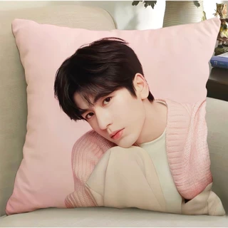 พร้อมส่ง 💗 หมอน จางหลิงเฮ่อ นุ่มฟู น่ากอด หมอน + ปลอก แถมโฟโต้การ์ดค่ะ