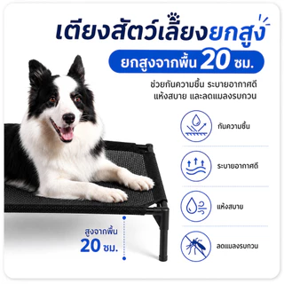 PETWELL เตียงสัตว์เลี้ยง ที่นอนหมา รับน้ำหนัก 100kg เตียงสุนัขผ้าตาข่าย ระบายอากาศ ป้องกันความชื้น