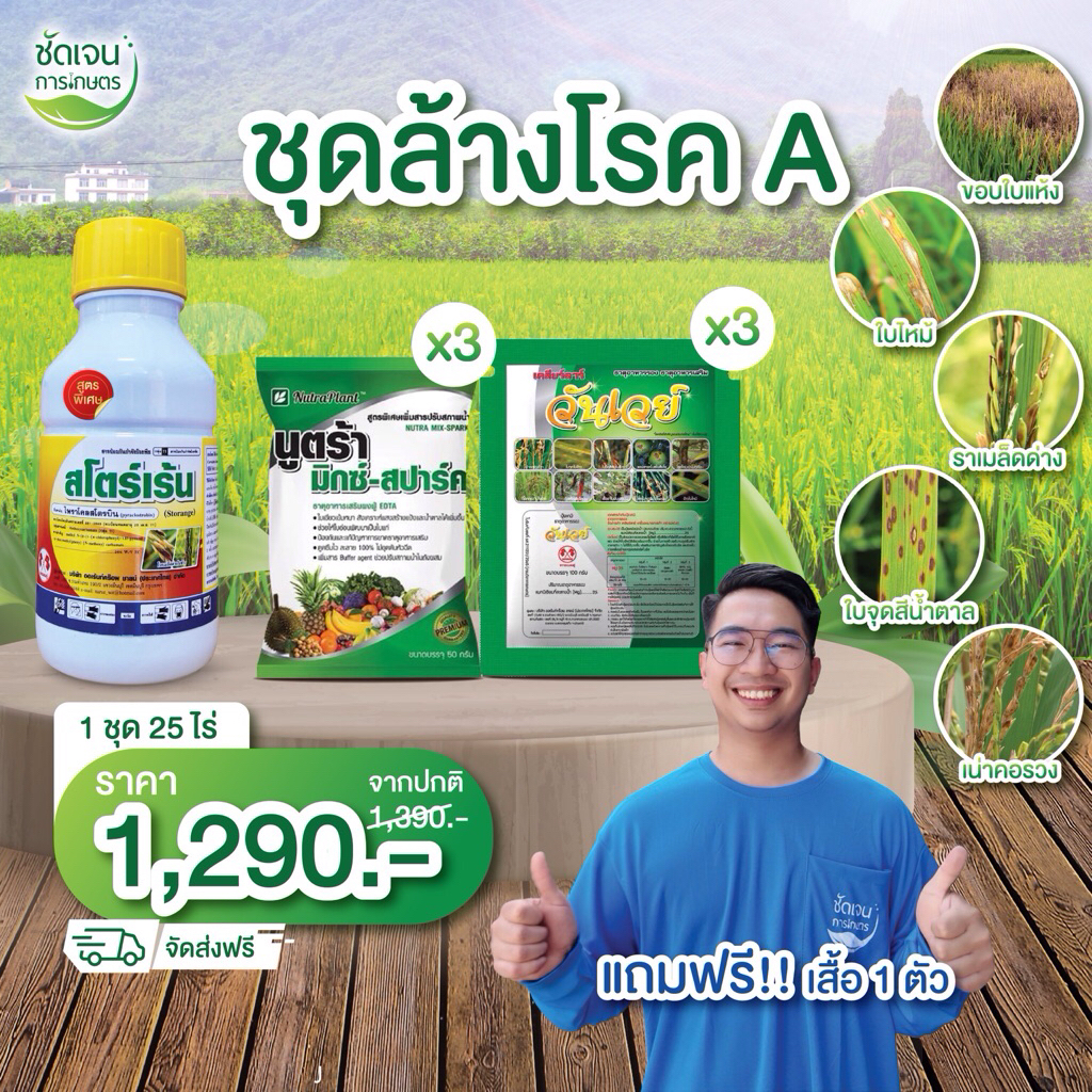ชุดล้างโรคA,B,C โรคใบขีดน้ำตาล ใบจุดใบไหม้ ราเมล็ดด่าง เน่าคอรวงข้าวเมล็ดลีบ โรคใบขีดน้ำตาล ใบจุดใบไหม้ ราเมล็ดด่าง เน่า