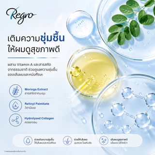 Regro Shampoo for Men 225 ml. แชมพูลดผมร่วงสำหรับผู้ชาย ให้ผมนุ่ม จัดทรงง่าย สูตรเย็น