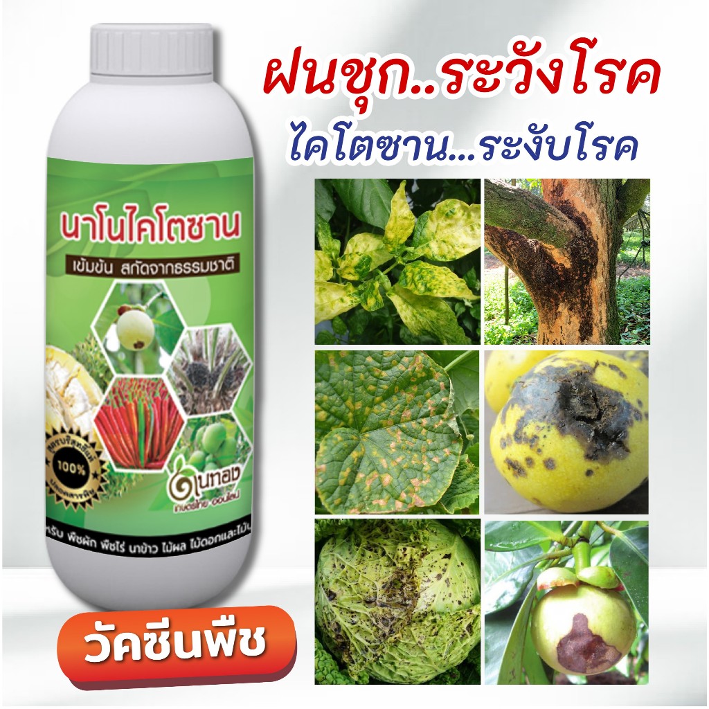 ไคโตซาน  ช่วยพืชแข็งแรง ทนทานต่อโรคพืช ต่อสภาพอากาศ ขนาด 1 ลิตร