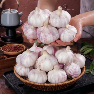 กระเทียมหัว และ กระเทียมกลีบ ลูกใหญ่ กลิ่นหอมเข้มข้น มี 500g/1kg ส่งฟรี มีบริการส่งด่วน ใช้ปรุงอาหารทุกเมนู