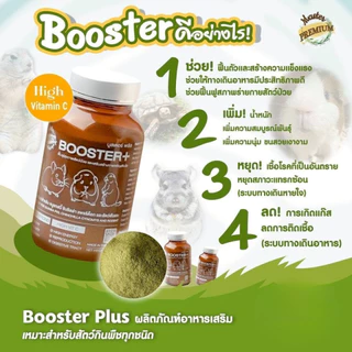 อาหารหนู Master Guinea Pig Food มาสเตอร์ อาหารเม็ดพรีเมียม อาหารหนูแกสบี้ วิตามินหนูแกสบี้ หนูตะเภา หนูเควี่ สัตว์ฟันแทะ