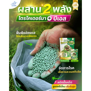 กัปตันไตรเอส ไตรโคเดอร์มา+บีเอส ชนิดอัดเม็ด สูตรหัวเชื้อเข้มข้น (อัดเม็ด 5 กิโลกรัม + หัวเชื้อเข้มข้น 100 กรัม)