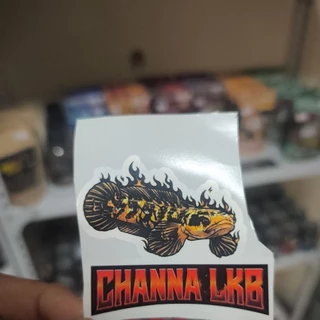 สติกเกอร์ติดตู้ปลา Channa LKB ลายปลาช่อนสวยงาม เกรดพรีเมี่ยม กันน้ำ กันแดด (Snakehead Fish Decals)ะ