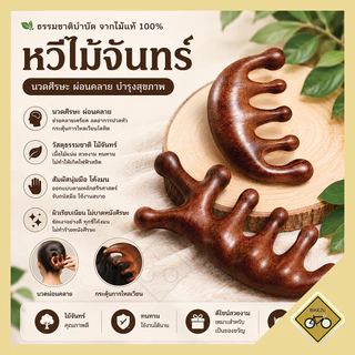 หวี 5ซี่ ไม้จันทร์ เรซิ่น หนังศรีษะ หวีนวดศีรษะ หวีนวดเพื่อสุขภาพ พร้อมส่งในไทย
