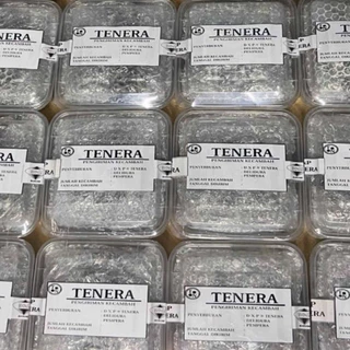 🌴เมล็ดพันธุ์ปาล์มสายพันธุ์ TENERA(มีใบรับรองสายพันธุ์)🌴