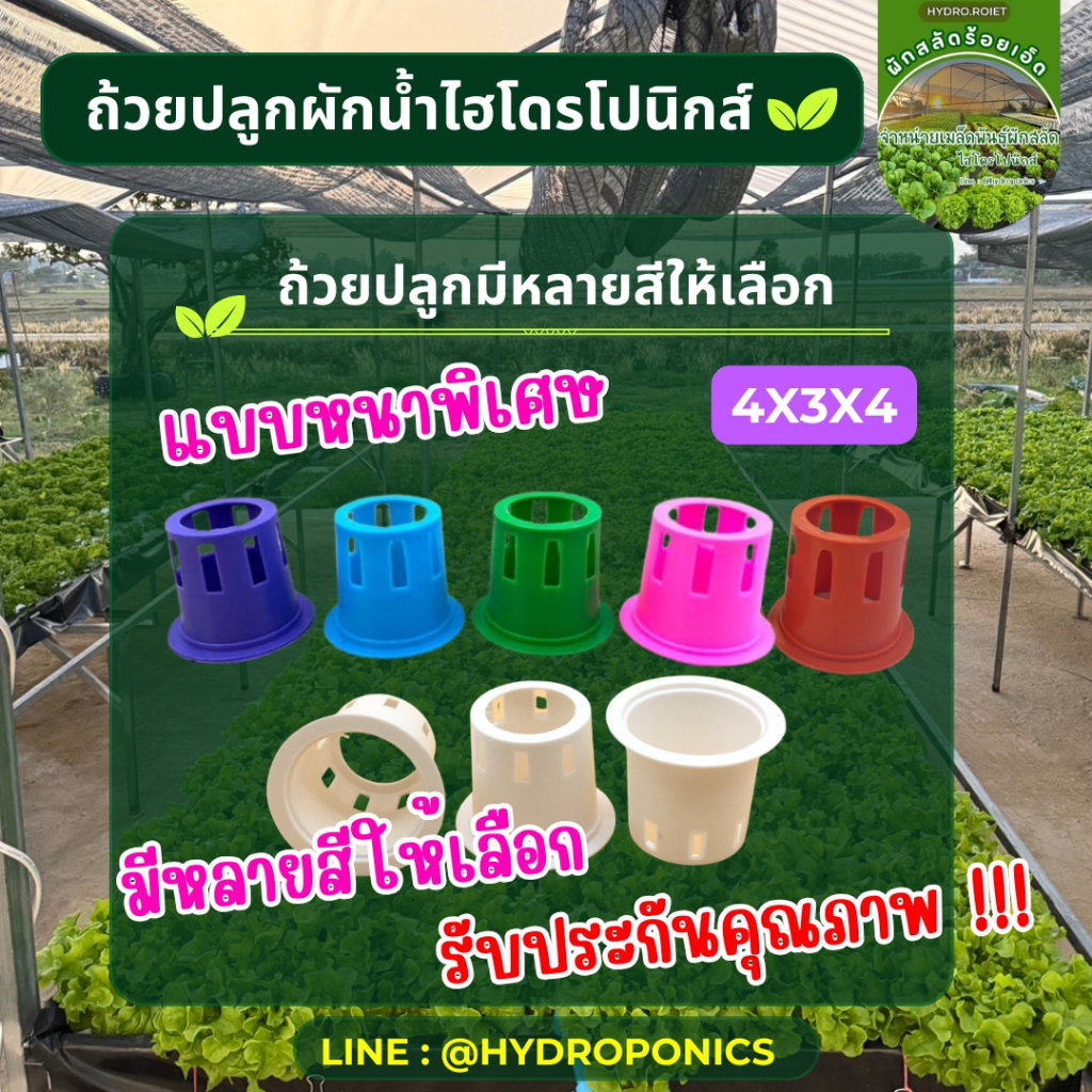ถ้วยปลูกผัก แบบหนาพิเศษ ใช้ทนใช้ซ้ำได้หลายครั้ง คุ้มค่า มีหลายสี