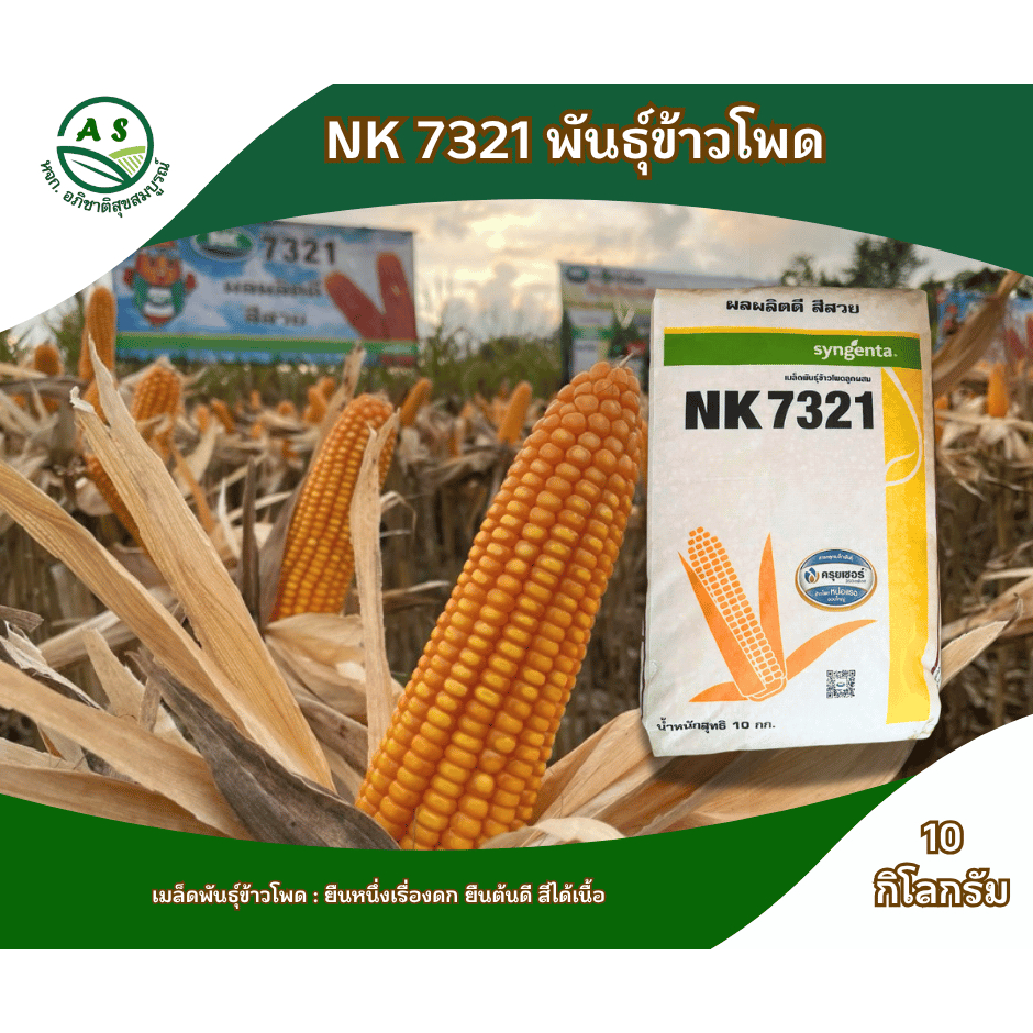 เมล็ดพันธุ์ข้าวโพดเลี้ยงสัตว์ NK7321 เบอร์ 2 หุน / 3 หุน บรรจุ 10 กก. ผลผลิตสูง ฝักใหญ่ [6-009-NK732