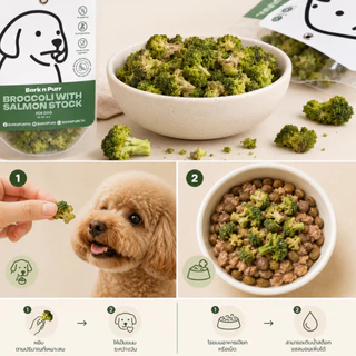 BarknPurr Broccoli with Salmon Stock บรอกโคลีเคลือบน้ำสต๊อกปลาแซลมอน ฟรีซดราย สำหรับสุนัข 25g