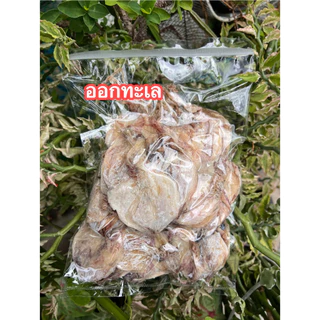 ราคาส่ง หมึกย่าง A6 ขนาดกำลังดี 🦑🦑 แพ็คสูญญากาศ 500 กรัม