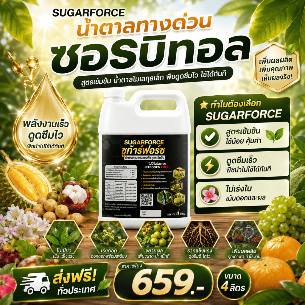 น้ำตาลทางด่วนพืช ซอร์บิทอล ซูก้าฟอร์ซ พืชได้พลังงานทันที สะสมแป้งน้ำตาล ผลใหญ่มาก ขนาด 4ลิตร
