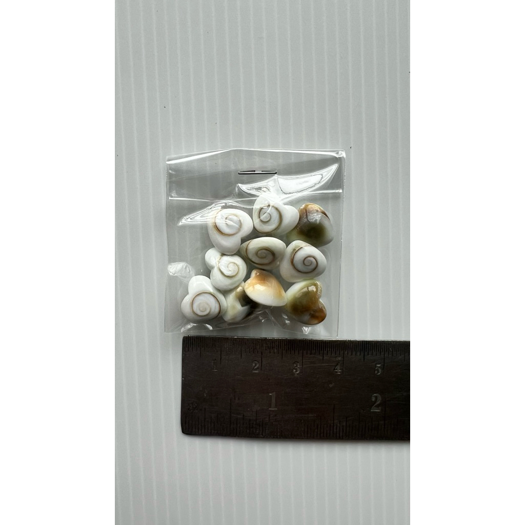 shiva eye นำโชค และทำเครื่องประดับ