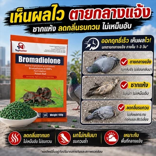 บอกลาขี้นกที่กวนใจ ยาเบื่อ นกพิราบ ยาฆ่านกพิราบ ทำลายอวัยวะภายในตายใน 1วัน แห้งเร็วและไม่มีกลิ่น เหยื่อกำจัดนกพิราบ