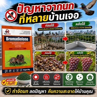 บอกลาขี้นกที่กวนใจ ยาเบื่อ นกพิราบ ยาฆ่านกพิราบ ทำลายอวัยวะภายในตายใน 1วัน แห้งเร็วและไม่มีกลิ่น เหยื่อกำจัดนกพิราบ