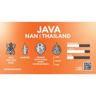 Java Nan Thailand | เมล็ดกาแฟสายพันธุ์ จาวา น่าน กาแฟคั่วสด MOTMOT COFFEE