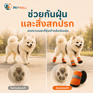 รองเท้าสุนัข PETWELL ชุด 4 ชิ้น ระบายอากาศ กันลื่น เหมาะสำหรับฤดูร้อนและกลางแจ้ง