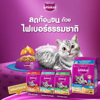 WHISKAS วิสกัส อาหารเม็ดแมวสูตรบำรุงผิวหนังและเส้นขน สำหรับแมวโต 1.1 กก.