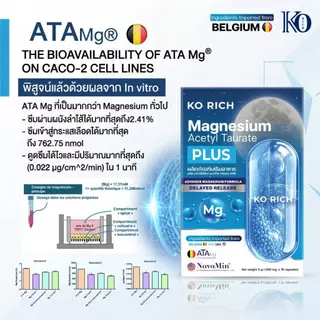 [ ตะกร้า บริษัท ]แมกนีเซียม เคโอริช Magnesium Ko Rich