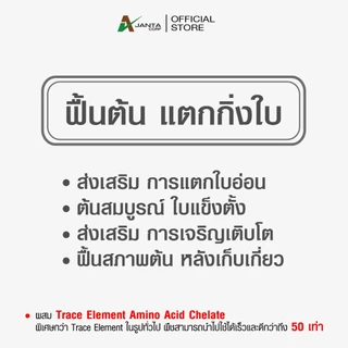 ฟื้นต้น แตกใบ ปุ๋ยทางใบ ฟื้นฟูสภาพต้นหลังเก็บเกี่ยว เร่งแตกใบอ่อน แก้ปัญหาต้นโทรม เอเจนต้า คอร์ป
