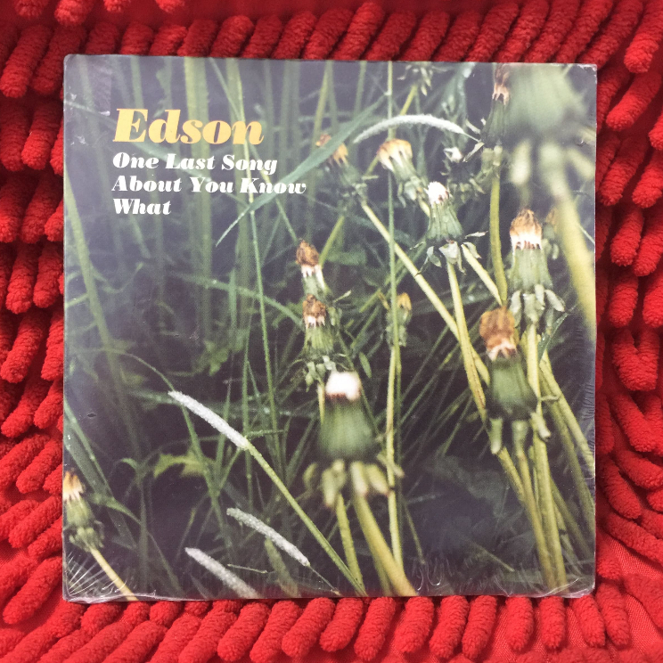CD One Last Song About You Know What - Edson /V2-58