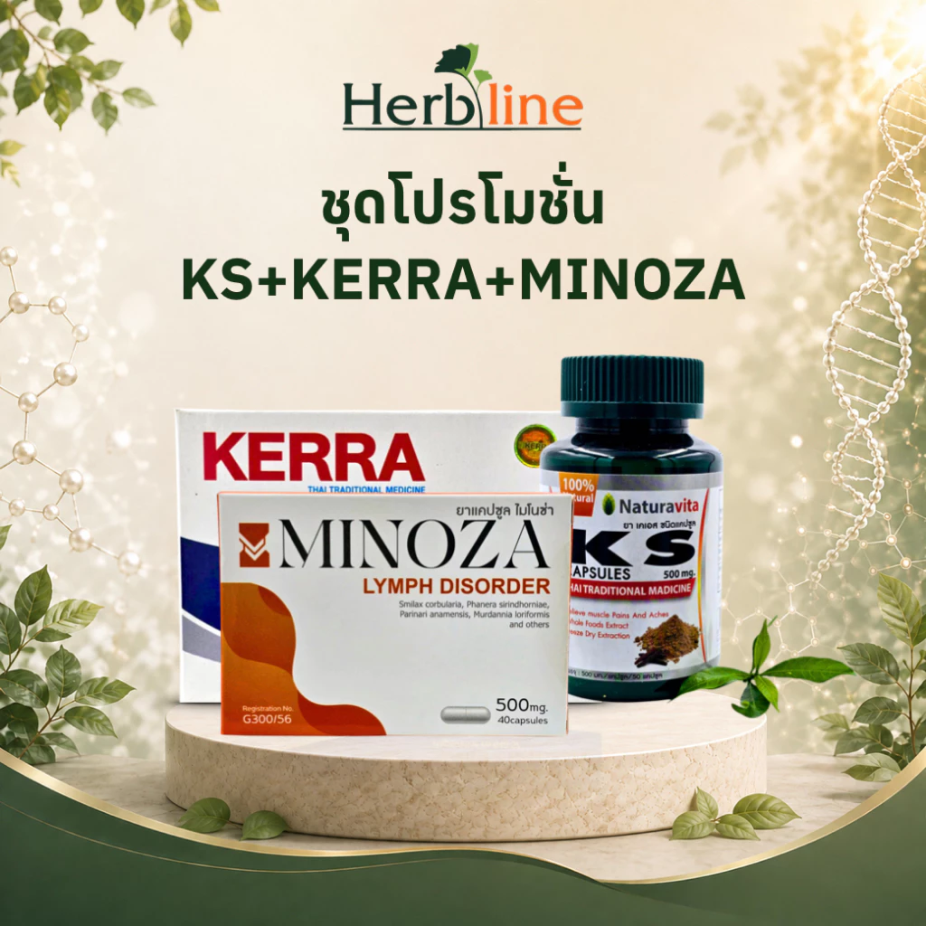 ชุดโปรโมชั่น Ks Kerra Minoza