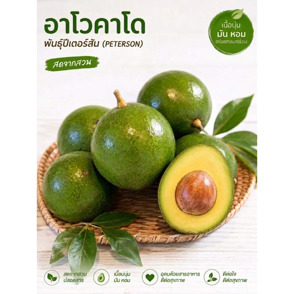 อะโวคาโดพันธุ์ปีเตอร์สัน ผลกลม เปลือกบาง เนื้อเนียนมันนัว อร่อยสดจากสวน