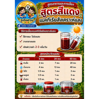 จุ้งจิ้งฟาร์ม 6 ลิตร : หัวเชื้อจุลินทรีย์สังเคราะห์แสง เข้มข้น ใช้ขยายต่อได้