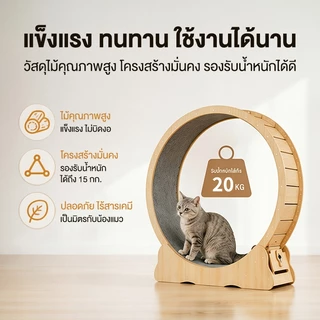 L&Q ลู่วิ่งแมว ที่ออกกำลังกายสัตว์เลี้ยง ออกกำลังกาย ขนาดใหญ่ cat wheel ของเล่น Pet treadmill