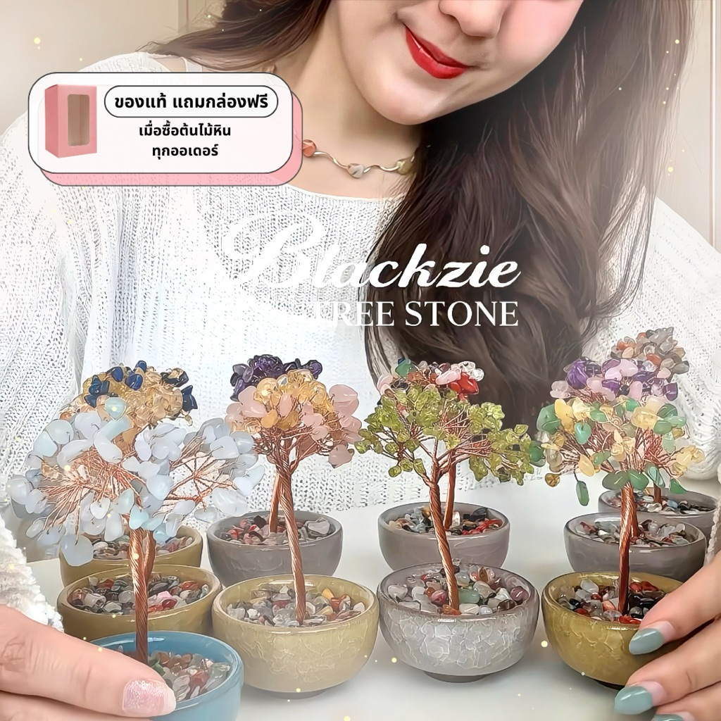(ของแท้ แถมกล่อง ส่งด่วน!) ต้นไม้หินมงคลเสริมดวง ฮวงจุ้ย ตั้งโต๊ะสุดปังมาแล้วค่า วางตกแต่งโต๊ะทำงาน ของขวัญแต่งบ้าน