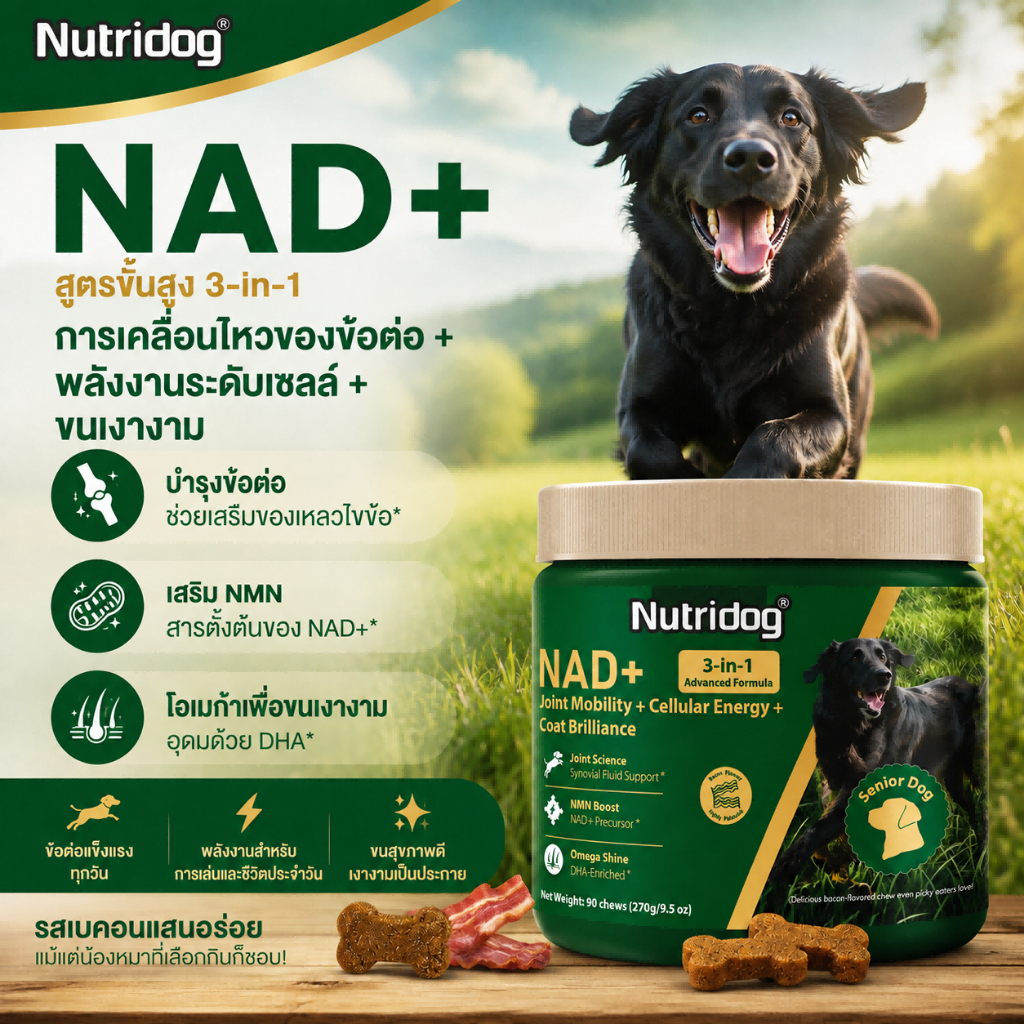 Nutridog NAD+ 3-in-1 | สูตรอเมริกัน บำรุงข้อ + เพิ่มพลังงาน + ขนเงางาม