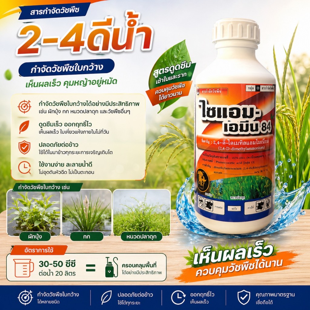 // 12 ลิตร // ไซแอม-เอมีน 2-4ดี (ทูโฟดีน้ำ) ใช้กำจัดวัชพืชใบกว้าง กก แห้วหมู ผักปอดนา หนวดปลาดุก