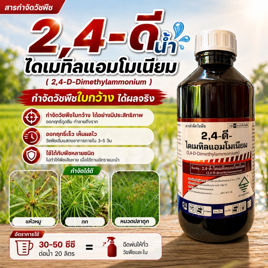 2-4ดี ทูโฟดี ( น้ำ )(1 ลิตร ) ใช้กำจัดวัชพืชใบกว้าง ผักปอดนา เทียนนา กก ผักบุ้ง แห้วหมู