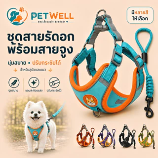 สําหรับสัตว์เลี้ยง PETWELL ชุดเชือกจูง สะท้อนแสง ปรับได้ สุนัข แมว สายรัดสุนัขสัตว์เลี้ยง วัสดุกำมะหยี่