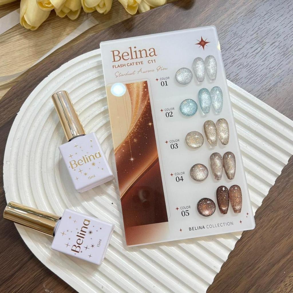 สีเจลยกชุด 5 สี Flash cateye Belina ( C11 ) พร้อมชาร์ตสำเร็จรูป