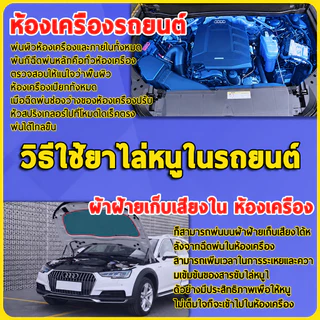 🐭สเปรย์ไล่หนู 520ml สำหรับรถยนต์ ห้องเครื่อง ป้องกันหนูกัดสายไฟ ใช้งานง่าย