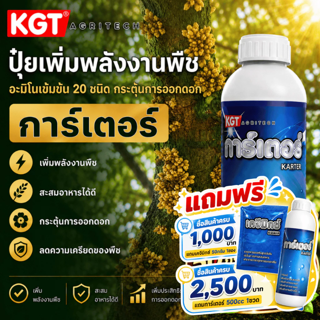 KGT การ์เตอร์ ปุ๋ยน้ำอะมิโนเข้มข้น 20 ชนิด สกัดจากปลาทะเล เพิ่มพลังงานพืช กระตุ้นการออกดอก ปุ๋ยเหลว ขนาด 1 ลิตร
