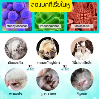 ELAIMEI ไรหูแมว ไรหูสุนัข สุนัข แมว สุนัขหูเหม็น แมวหูเหม็น ลดบวมแดง ทำความสะอาดหู สุนัข แมว
