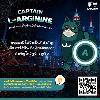 FERROTONIC เฟอร์โรโทนิค อาหารเสริมบำรุงเลือด