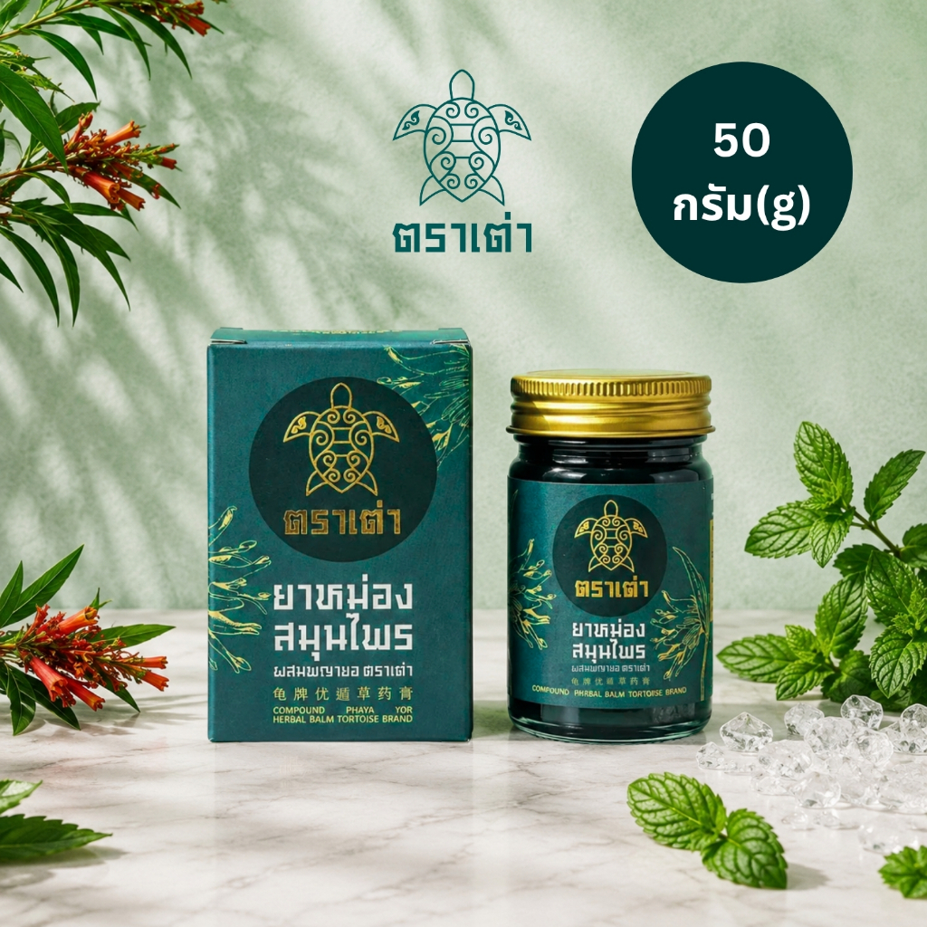 (50 กรัม/g) Turtle Herbal ยาหม่องสมุนไพรผสมพญายอ ตราเต่า Compound Phaya Yor Herbal Balm Tortoise Brand
