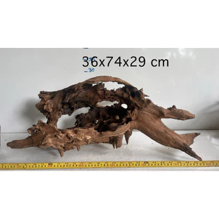 ไม้จมแม่น้ำ เนื้อเเข็ง เนื้อแน่น และสวยงาม driftwood display