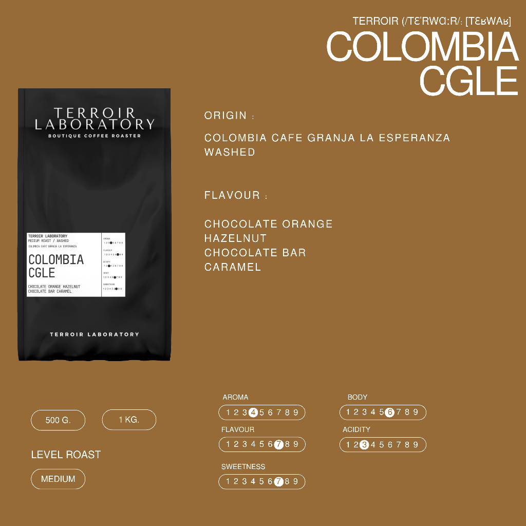 Colombia CGLE | Medium Roast | เมล็ดกาแฟ Blend