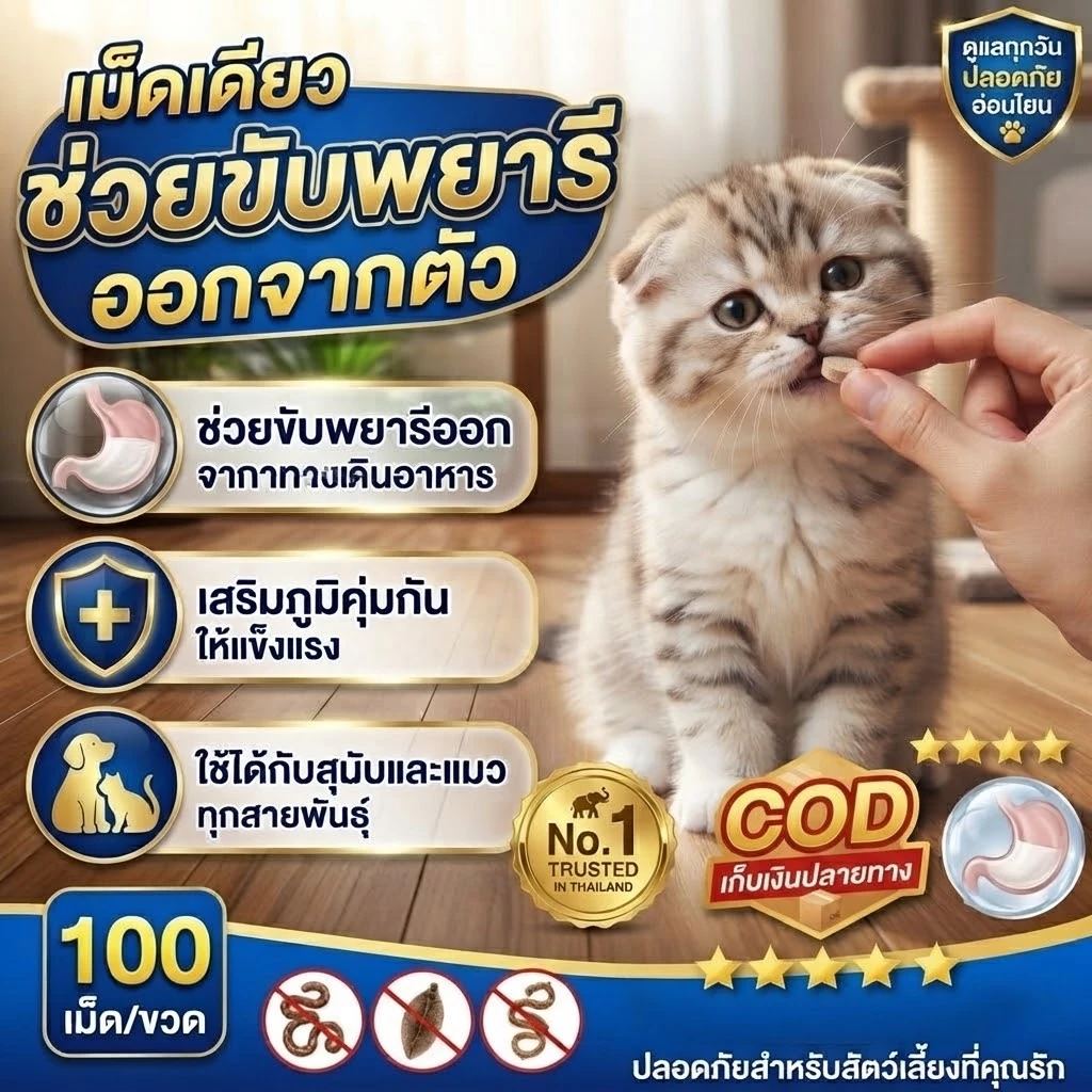 ✅สุขภาพสัตว์เลี้ยงดี๊ดี✅AL ถ่ายพยาธิ กำจัดพยาธิ ซื้อ 2 แถม 1 พยาธิตัวกลม พยาธิตัวตืด พยาธิแส้ม้า พยาธิปากขอ ขวดหนึ่งมี 1