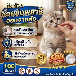 ✅สุขภาพสัตว์เลี้ยงดี๊ดี✅AL ถ่ายพยาธิ กำจัดพยาธิ ซื้อ 2 แถม 1 พยาธิตัวกลม พยาธิตัวตืด พยาธิแส้ม้า พยาธิปากขอ ขวดหนึ่งมี 1