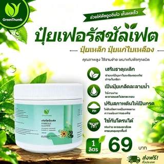 【GreenThumb】ปุ๋ย เหล็กซัลเฟต เฟอรัสซัลเฟต 250g ป้องกันโรคเหลือง ปรับสมดุลความเป็นกรดของดิน เพิ่มปริมาณธาตุเหล็กในพืช