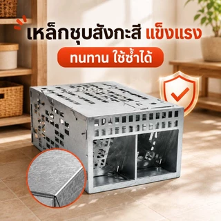 [ส่งจากไทย] 🐀กรงดักหนู กับดักหนู ที่ดักหนู ตรงปกไม่จกตา จัดส่งไวสุดๆวิ้งๆ✨